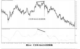 如何在外汇交易中进行心理分析？行为分析的相互验证