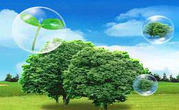 生态环境概念股受关注 生态环境概念整体上涨
