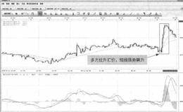 汇价实现较大涨幅会是多头趋势继续发酵的结果吗？