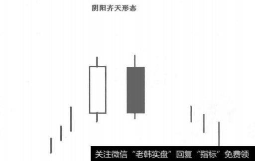 阴阳齐天形态示意图