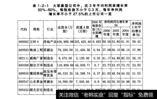 大笨象公司的特点是什么？