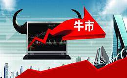 如何在我国中小板和创业板市场寻找高成长股票？（案例分析）