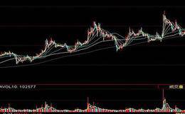 散户投资者投资习惯是什么？