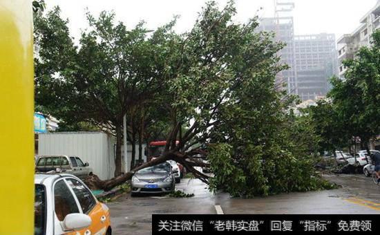 <a href='/redianticai/15136.html'>台风概念股</a>