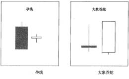 孕线及大象吞蛇的双线组合形态含义