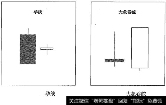 孕线及大象吞蛇