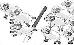 什么是“羊群效应”？什么是信息?