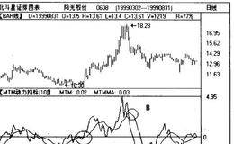 MTM动力指标是什么?MIM的应用实例分析