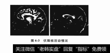 伏隔核和投资者的预期有哪些联系？动物脑神经实验对于投资预期有哪些新的认知？