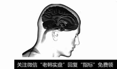 神经系统在投资决策中发挥了哪些决定性的作用？