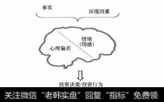 投资者的模式识别和预测癖好有哪些？大脑活动是如何影响人在投资中的决定的呢？