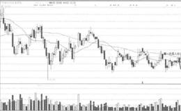 如何利用组合分析：罗莱家纺？如何应对低迷的股票市场？