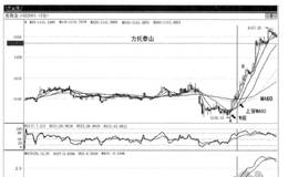 经典买入法图解——力托泰山