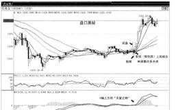 经典买入法图解——盘口奥秘