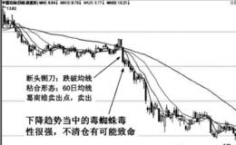 均线毒蜘蛛特殊形态实战应用技巧分析