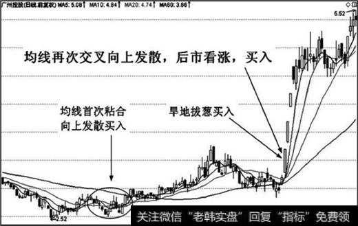 粘合向上发散形态