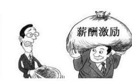 激励机制对高管行为的影响？