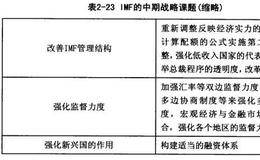 亚洲外汇危机：IMF等国际金融组织的改革