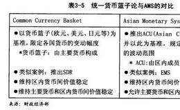 亚洲外汇危机：区域内汇率制度探索的主要讨论议题