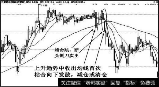 粘合向下发散形态