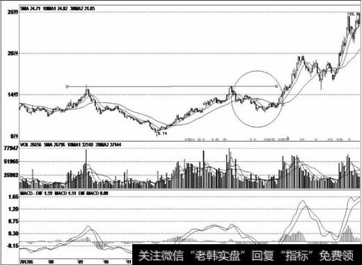 该股反弹结束后再次步入下跌，股价创出了调整新低