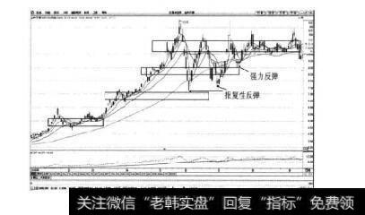 图4-23金种子酒日K线图