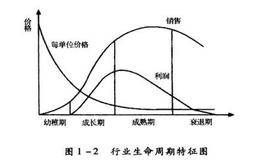 行业的生命周期分析是什么样的？