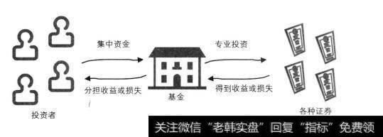 炒股还是买基金