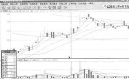 什么是鲤跃龙门？如何理解鲤跃龙门？