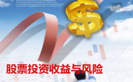 <em>股票投资收益</em>与风险