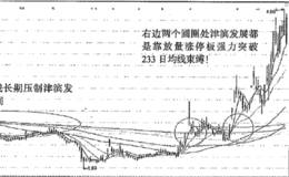 外星人<em>津滨发展</em>突破233日均线快速翻倍