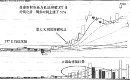 鼎泰新材突破377日均线大涨50%