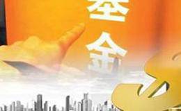 如何选股呢？选时遵守“精”勿贪多吗？