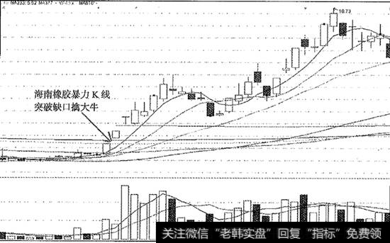 猎杀海南橡胶