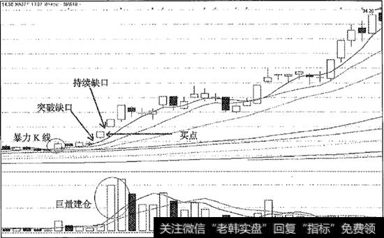 双料热点上海新阳