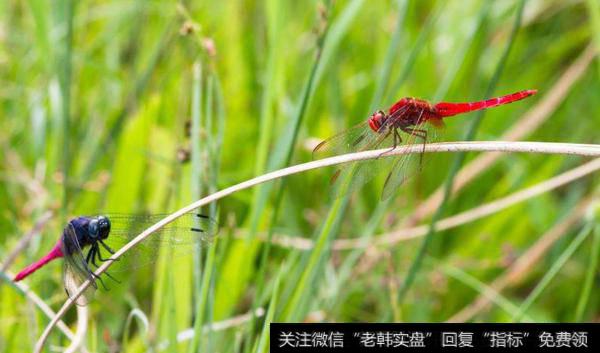 回踩可以继续做，节前时间不多了