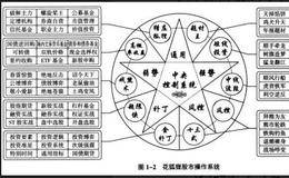 个股股价下跌可能是哪些原因导致的？