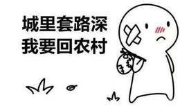 涨停板复盘：“一会满”不如“慢慢满”；科创或将迎来爆发2019.1.28