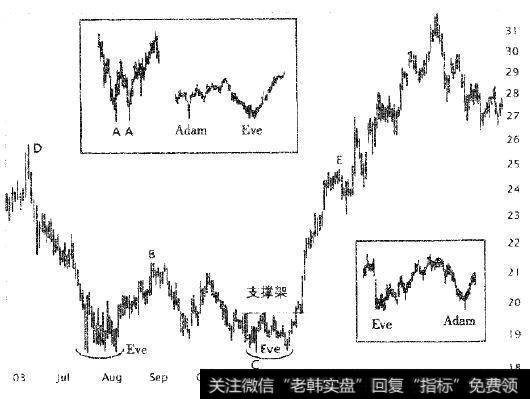 如图所示Adam和Eve底部的不同组合。图AA是Adam&Adam双底。