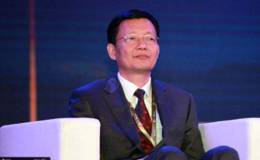 <em>李大霄</em>股市快评：险资大举进场道路铺平 股市再迎长期资金