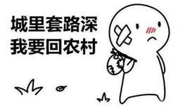 涨停板复盘：“一会满”不如“慢慢满”；科创或将迎来爆发2019.1.29