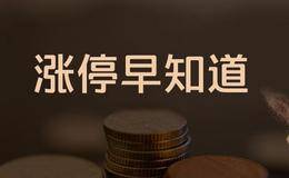  涨停早知道关键词：金融、家电(2019/1/30)