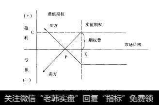 图9-3看跌期权的风险与收益结构