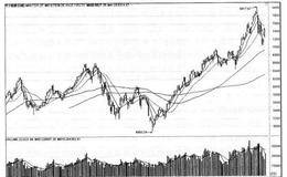股价高低的玄机揭秘与股价陷阱与误区详解