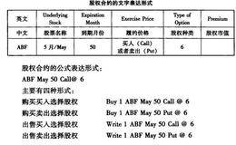 资本运营技巧之期权交易的类型