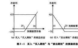 资本运营技巧：期权交易的运用