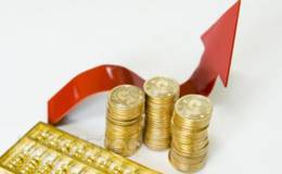 资本运营技巧之建立大型企业集团和跨国公司