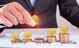 资本运营技巧之建立跨国公司