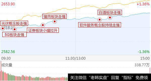 指数开门红，创业板大爆发；什么板块可以追！