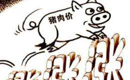 <em>猪肉概念股</em>狂飙 行业拐点提前到来？